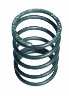 Malpassi Turbo Regulator Spring for FPR009 & FPR010