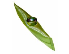 In-Tank Fuel Pump Filter 22-220 (AC)