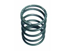 Malpassi Turbo Regulator Spring for FPR009 & FPR010